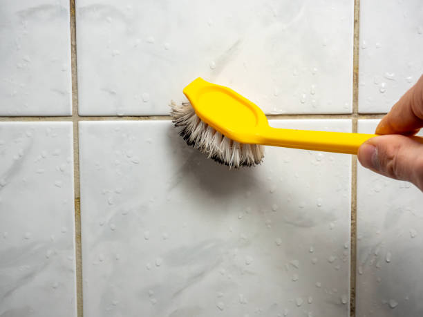 Best Basement Mold Remediation in Trucksville, PA