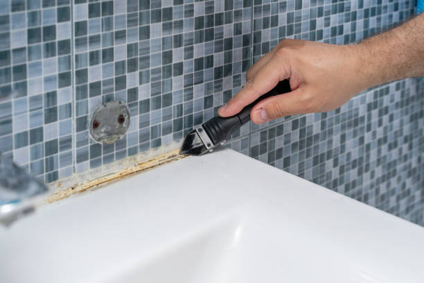 Best Mold Remediation for Specific Building Types in Trucksville, PA