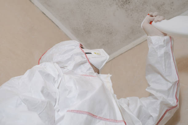 Best Commercial Mold Remediation in Trucksville, PA
